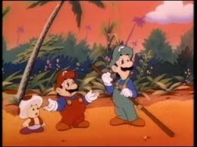 It's a mushroom from the princess's kingdom, its purpose is to ensure her safety, it's called...