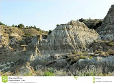 Using your general knowledge, will you manage to tick the right answer? I'm looking for the capital of North Dakota.