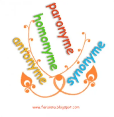 What do you call a word that has the same or a similar meaning?