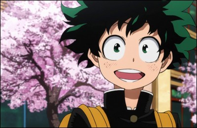 My Hero Academia Quiz: IZUKU MIDORIYA 