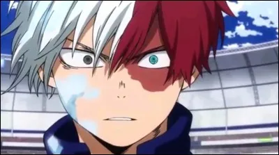 How did Shouto Todoroki get his scar?