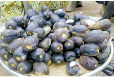 What are these African fruits ?