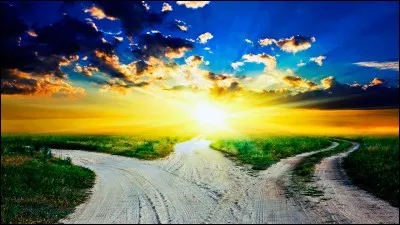 Who wrote Un long chemin vers la liberte?