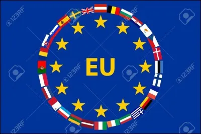 Which one is the most important organ of the European Union?