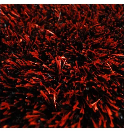 Tick the man who wrote Le Rouge et le Noir .