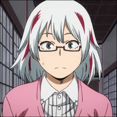 What is the name of Shoto's sur?