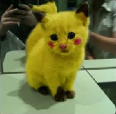 What animal do you see in Pikachu?