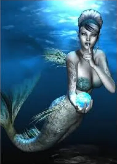 What is the name of this creature ?