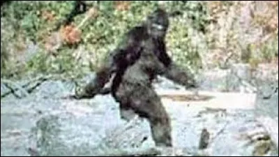 What is the name of this creature ?