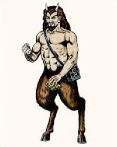 What is the name of this creature ?