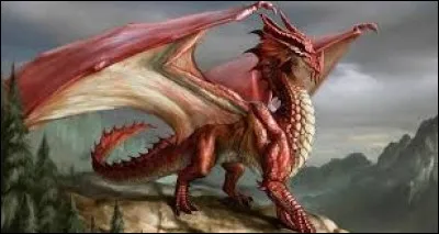 What is the name of this creature ?