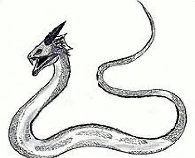 What is the name of this legendary creature ?