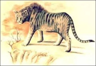 What is the name of this legendary creature ?