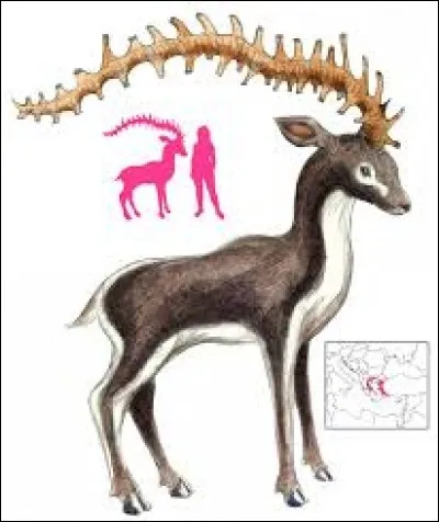 What is the name of this legendary creature ?