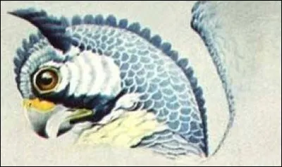 What is the name of this legendary creature ?