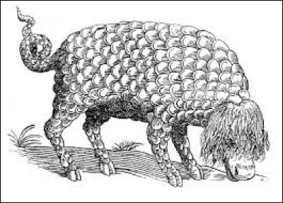 What is the name of this legend creature ?