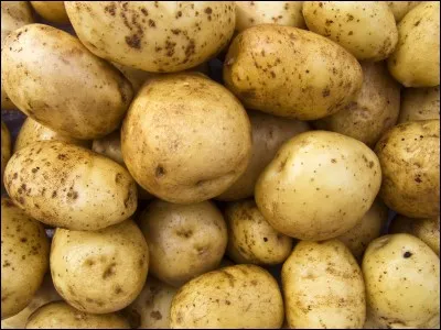 From which continent do potatoes originate?