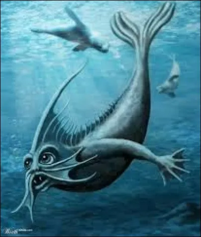 What is the name of this creature ?