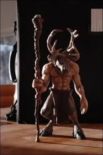 What is the name of this creature ?