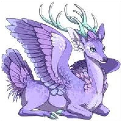 What is the name of this creature ?