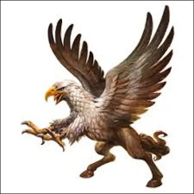 What is the name of this creature ?