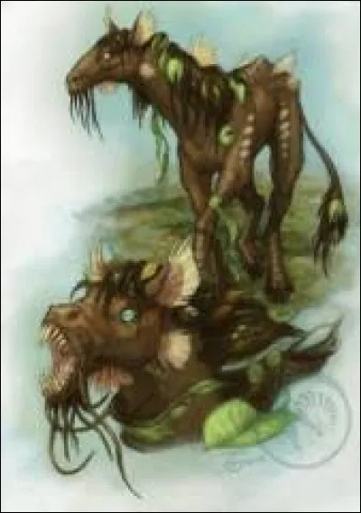 What is the name of this creature ?