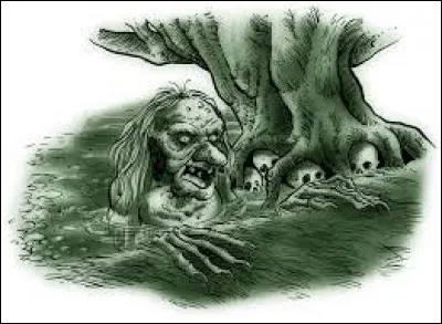 What is the name of this creature ?