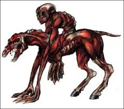 What is the name of this creature ?