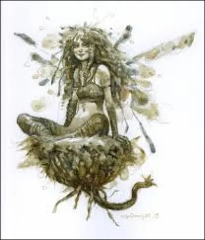 What is the name of this creature ?