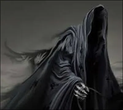 What is the name of this creature ?