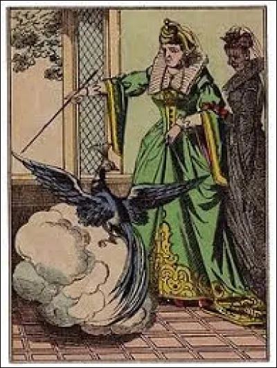 What is the name of this creature ?