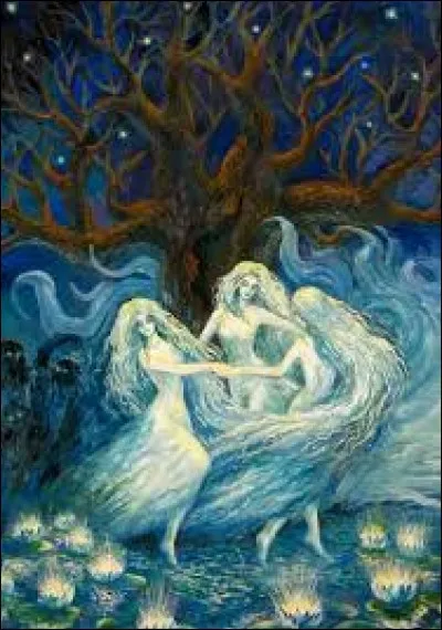 What is the name of this creature ?