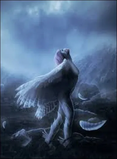 What is the name of this creature ?