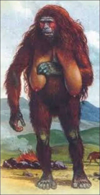 What is the name of this creature ?