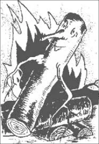 What is the name of this creature ?