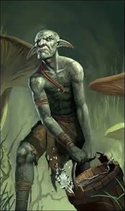 What is the name of this creature ?