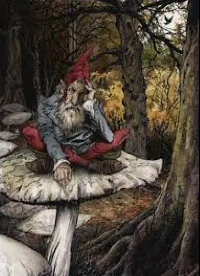 What is the name of this creature ?