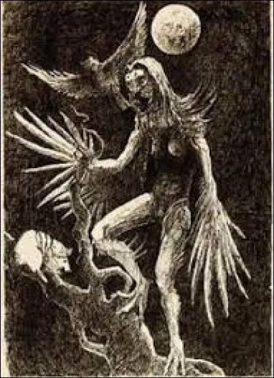 What is the name of this creature ?