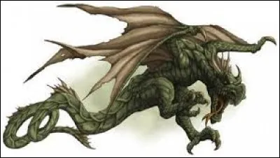 What is the name of this creature ?