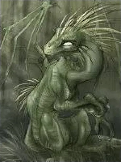 What is the name of this creature ?