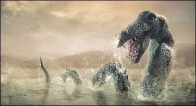 What is the name of this creature ?