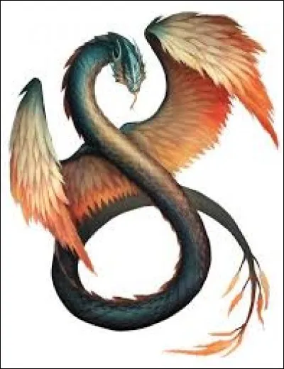 What is the name of this creature ?