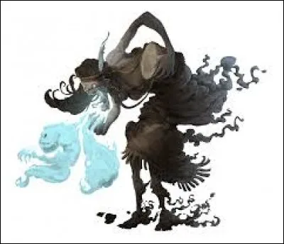 What is the name of this creature ?