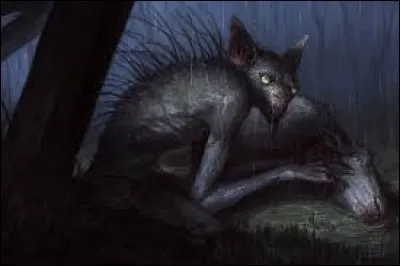 What is the name of this creature ?