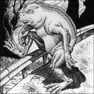 What is the name of this creature ?