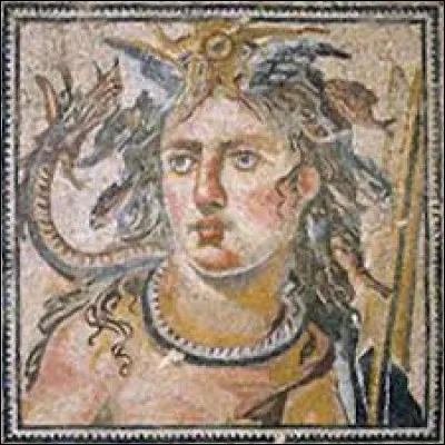 What is the name of this giant ?