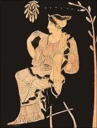 What is the name of this giant ?