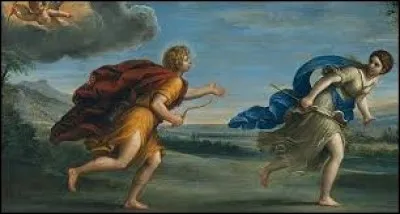 What is the name of this nymph ?