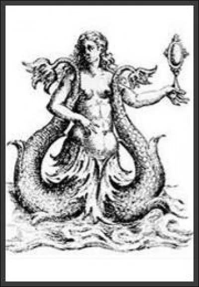 What is the name of this nymph ?