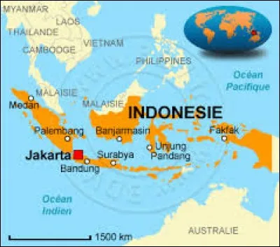 What is the official language of Indonesia?